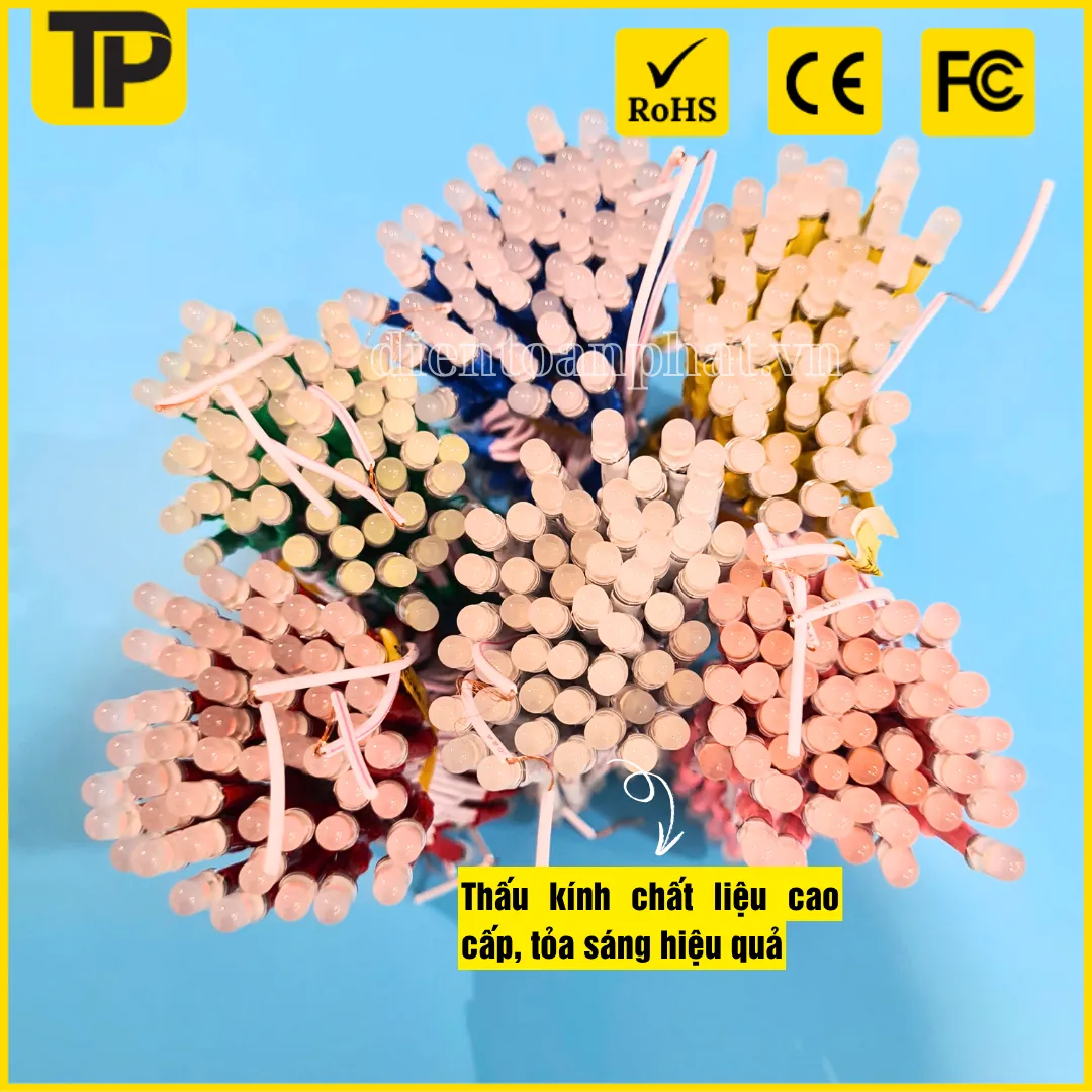 led-ruoi-12v-toan-phat-electric-4